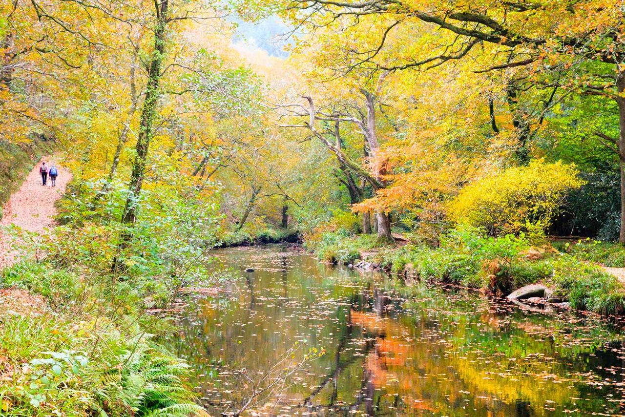 Moorland View Cottage North Bovey Buitenkant foto